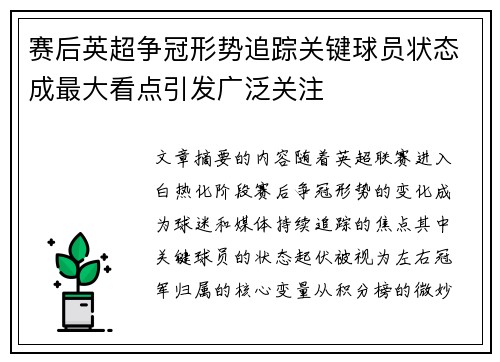 赛后英超争冠形势追踪关键球员状态成最大看点引发广泛关注