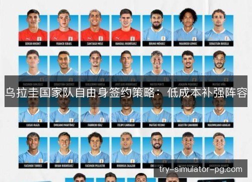 乌拉圭国家队自由身签约策略：低成本补强阵容